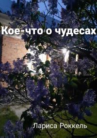 Обложка книги «Кое-что о чудесах»