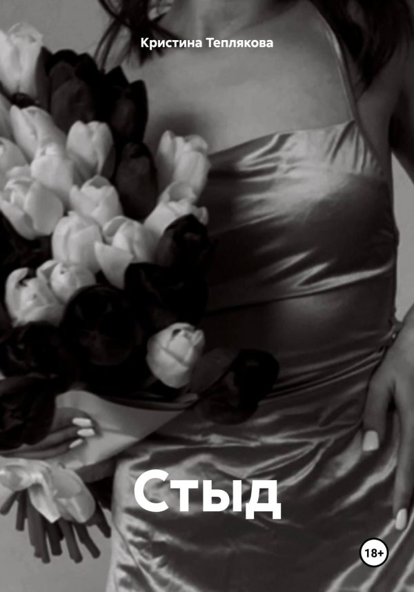 Обложка книги «Стыд»