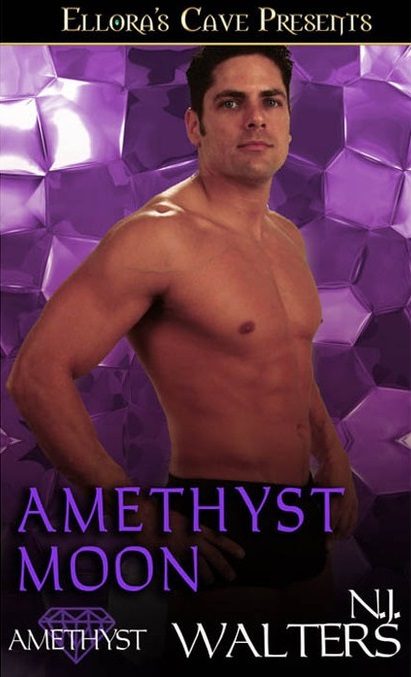 Обложка книги «Аметистовая луна»