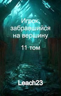 Обложка книги «Игрок, забравшийся на вершину. Том 11»