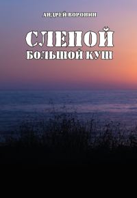 Обложка книги «Слепой. Большой куш»