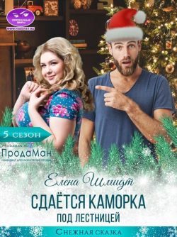 Обложка книги «Сдаётся каморка под лестницей»