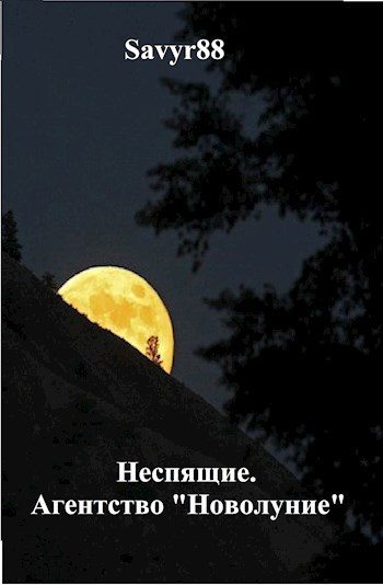 Обложка книги «Агентство "Новолуние"»