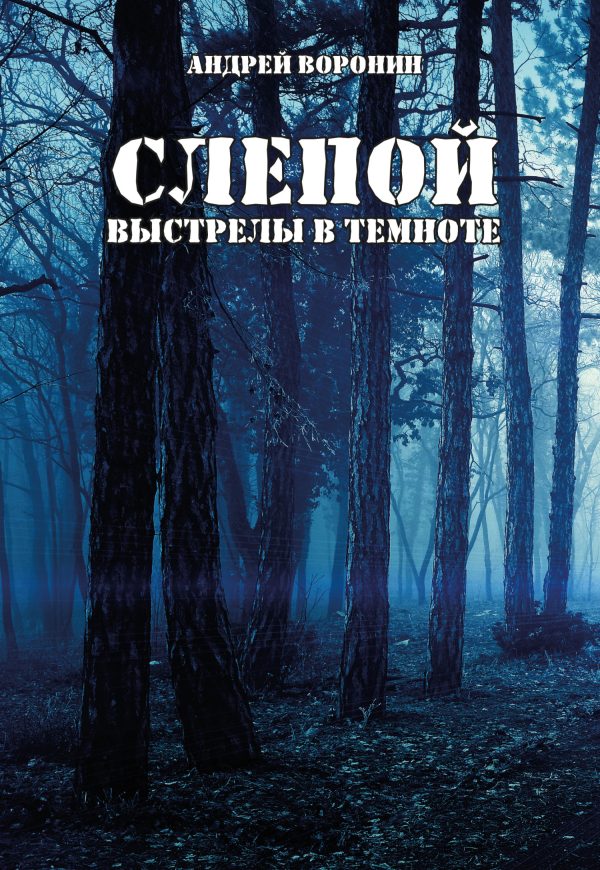 Обложка книги «Выстрелы в темноте»