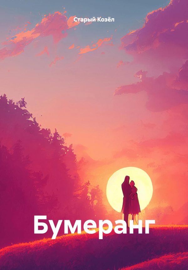 Обложка книги «Бумеранг.»