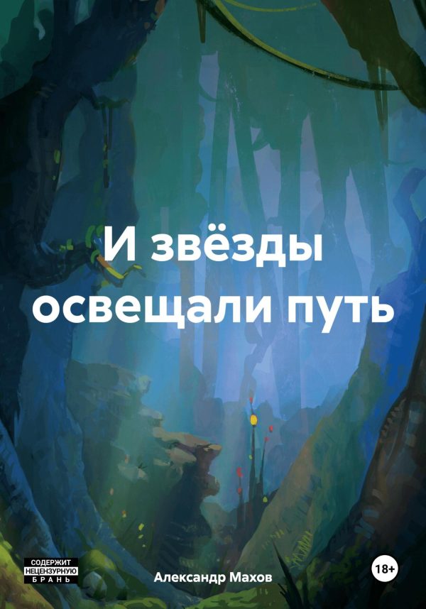 Обложка книги «И звёзды освещали путь»