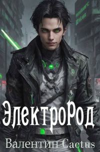 Обложка книги «ЭлектроРод»