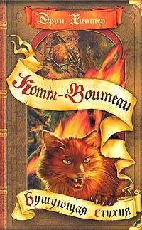 Обложка книги «Бушующая стихия»