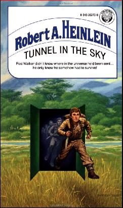Обложка книги «Туннель в небе»