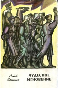 Обложка книги «Чудесное мгновение»