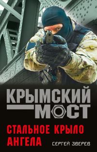 Обложка книги «Стальное крыло ангела»
