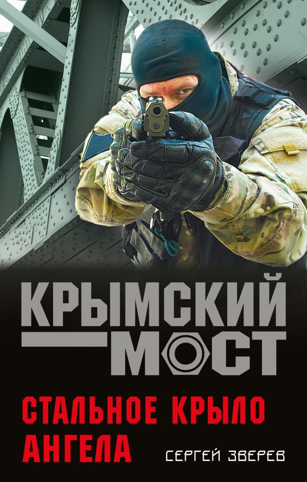 Обложка книги «Стальное крыло ангела»