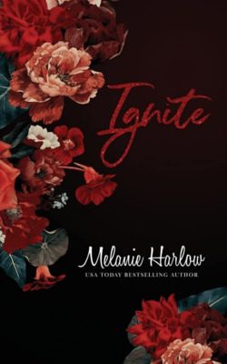 Обложка книги «Разжигать»