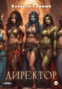 Обложка книги «Директор»