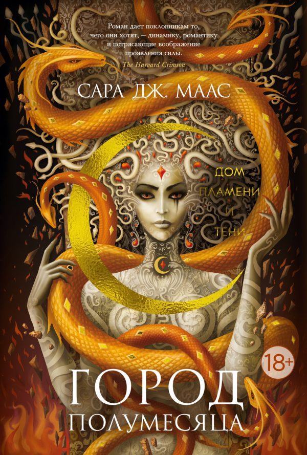 Обложка книги «Дом Пламени и Тени»