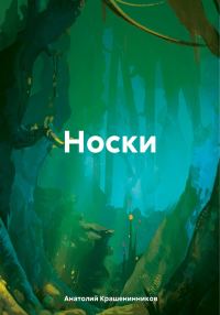 Обложка книги «Носки»