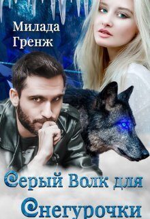 Обложка книги «Серый Волк для Снегурочки»