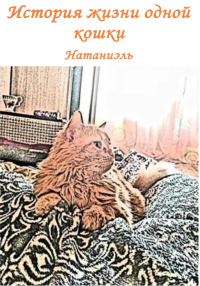Обложка книги «История жизни одной кошки»