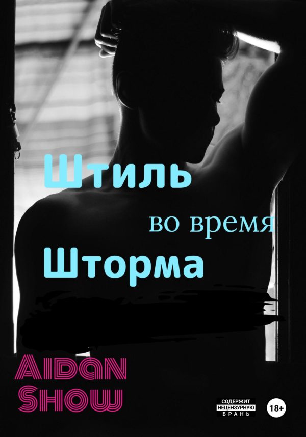 Обложка книги «Штиль во время шторма»