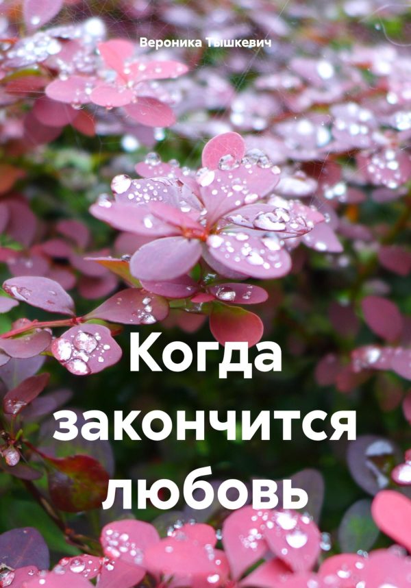 Обложка книги «Когда закончится любовь»