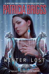 Обложка книги «Winter Lost»