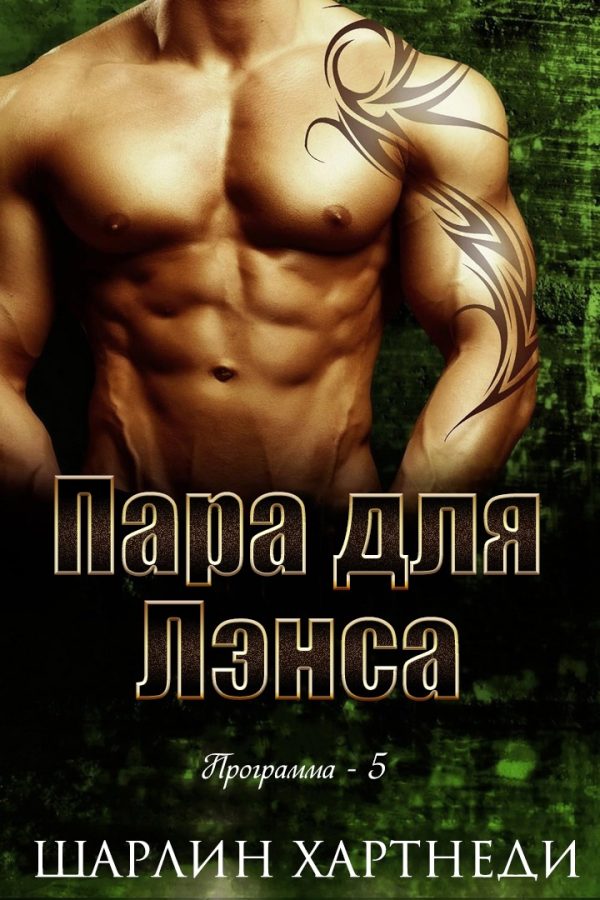 Обложка книги «Пара для Лэнса»
