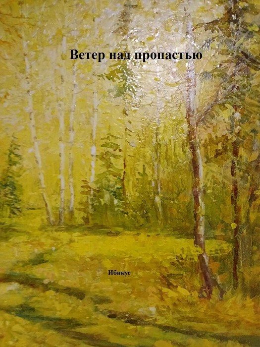 Обложка книги «Ветер над пропастью»