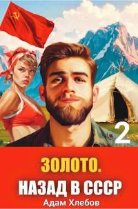 Обложка книги «Золото. Назад в СССР 2»