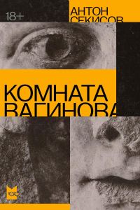 Обложка книги «Комната Вагинова»