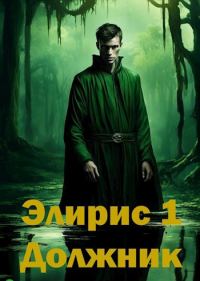 Обложка книги «Элирис. Книга 1. Должник»