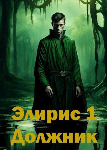 Обложка книги «Элирис. Книга 1. Должник»