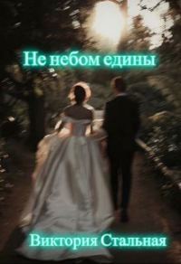 Обложка книги «Не небом едины»