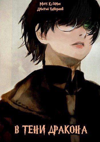 Обложка книги «В тени дракона»