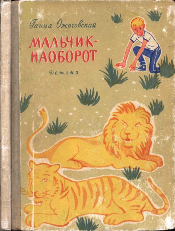 Обложка книги «Мальчик-наоборот»