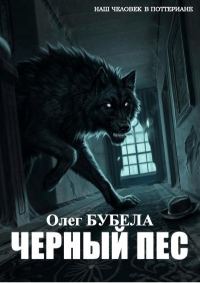 Обложка книги «Чёрный пёс»