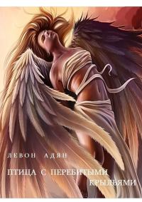 Обложка книги «Птица с перебитыми крыльями»