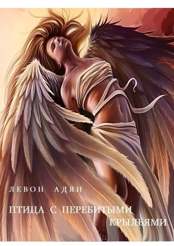 Обложка книги «Птица с перебитыми крыльями»