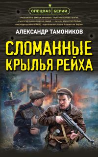 Обложка книги «Сломанные крылья рейха»