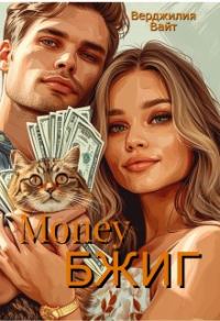 Обложка книги «Money БЖИГ»