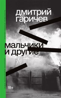 Обложка книги «Мальчики и другие»