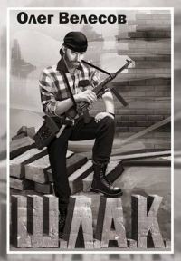 Обложка книги «Шлак 2.0»