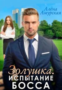 Обложка книги «Золушка. Испытание босса»