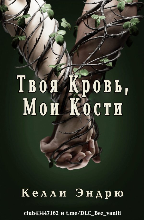 Обложка книги «Твоя кровь, мои кости»