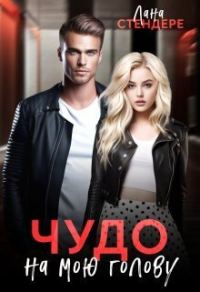 Обложка книги «Чудо на мою голову»