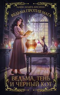 Обложка книги «Ведьма, тень и черный кот»