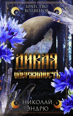 Обложка книги «Дикая одержимость»