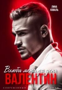 Обложка книги «Влюби меня за день, Валентин»
