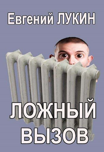 Обложка книги «Ложный вызов»