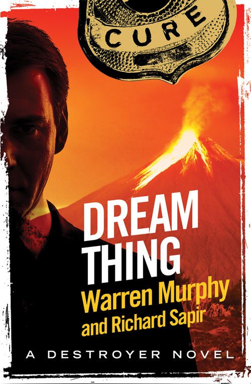 Обложка книги «Dream Thing»