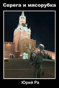 Обложка книги «Серега и мясорубка»